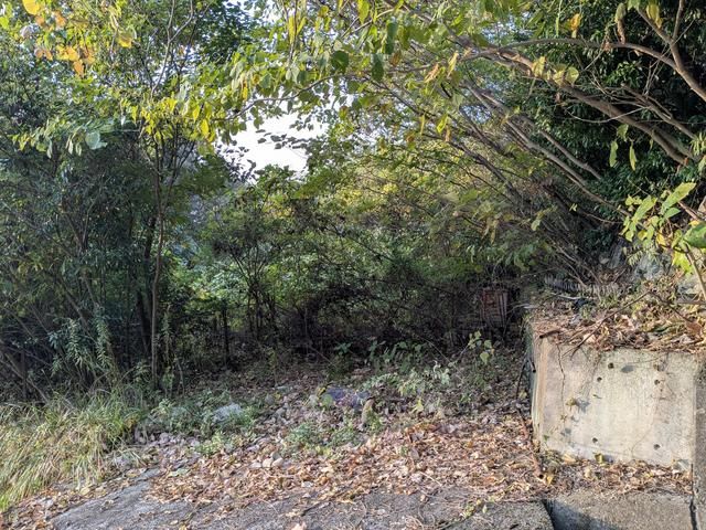 Agricultural Land for Sale in Etajima, Hiroshima - 1,742 sqm Plot - Thumbnail 3