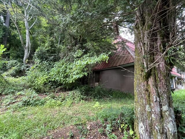 5LDK Traditional House with Large Land and Field in Nagano Mountains - Thumbnail 4