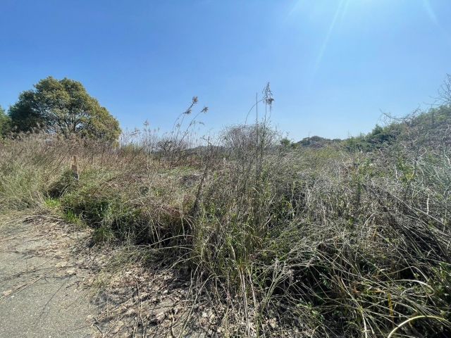 Land for Sale in Tosu, Saga - Storage Yard Site - Thumbnail 2