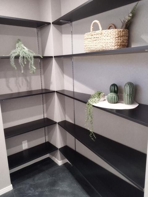 1LDK Apartment with Garden in Suginami, Tokyo - Recently Renovated - Thumbnail 4