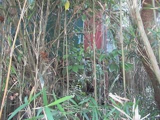 Vacant Land for Villa in Hokota City, Ibaraki - 193.74 sqm - Thumbnail 3