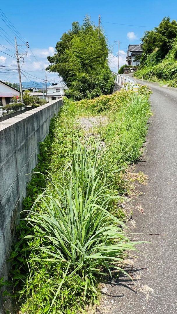 Land for Sale in Hyuga City, Miyazaki - 158.77 sqm Material Storage Yard - Thumbnail 4