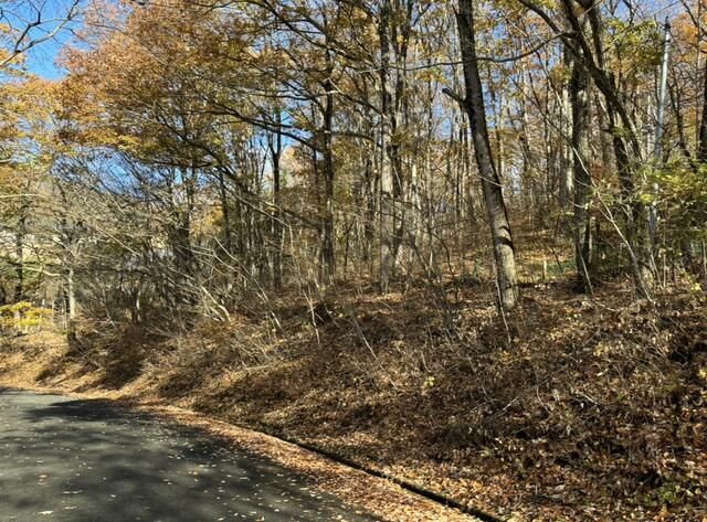 179 Tsubo Mountain Forest Land for Sale in Kai City, Yamanashi - Thumbnail 3