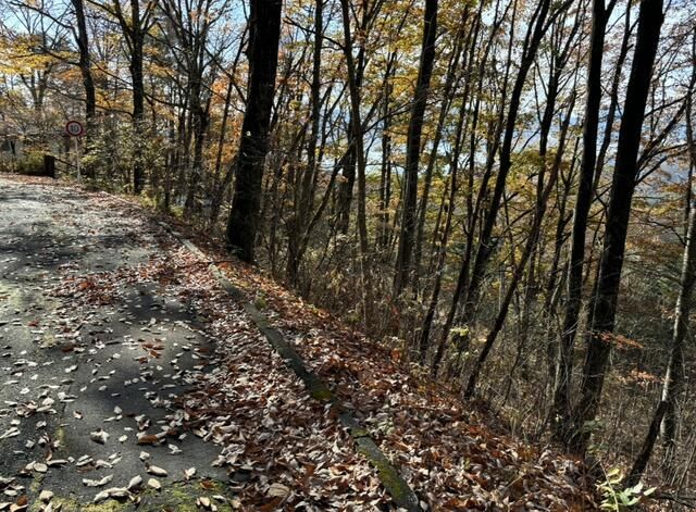 179 Tsubo Mountain Forest Land for Sale in Kai City, Yamanashi - Thumbnail 2