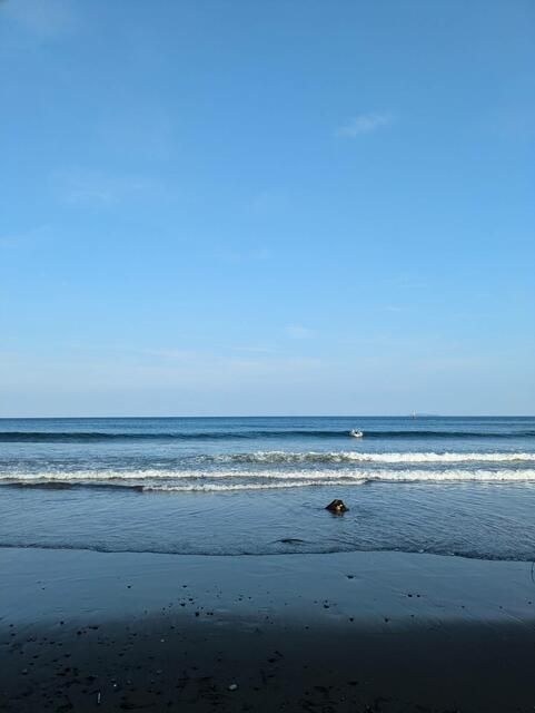 Sea View House for Sale in Yugawara, Kanagawa - 4SLDK - Thumbnail 4