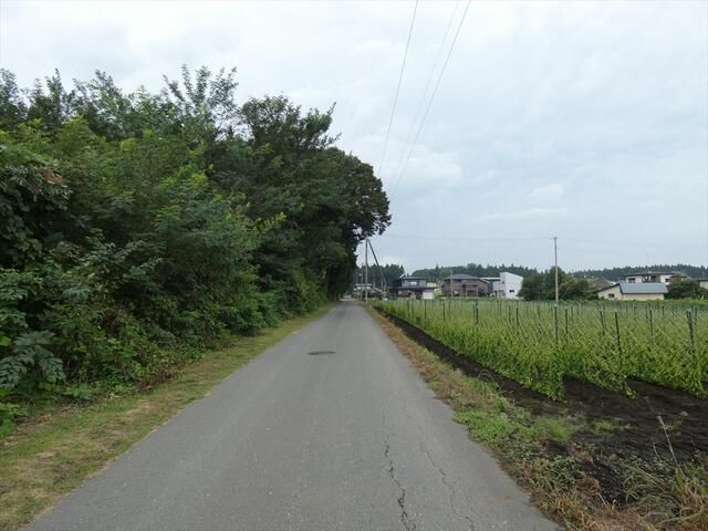 Residential Land for Sale in Rokkunohe, Aomori - 165 sqm - Thumbnail 4