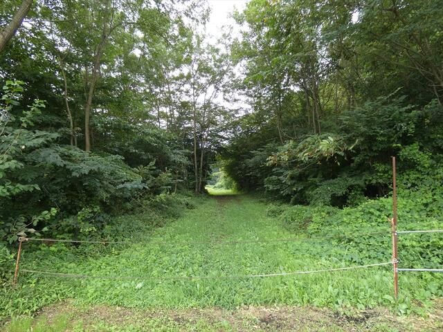 Residential Land for Sale in Rokkunohe, Aomori - 165 sqm - Thumbnail 2