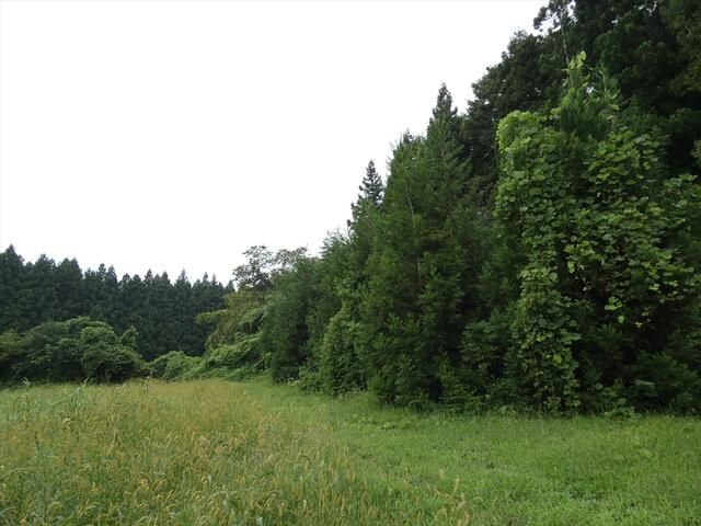 Residential Land for Sale in Rokkunohe, Aomori - 165 sqm - Thumbnail 3