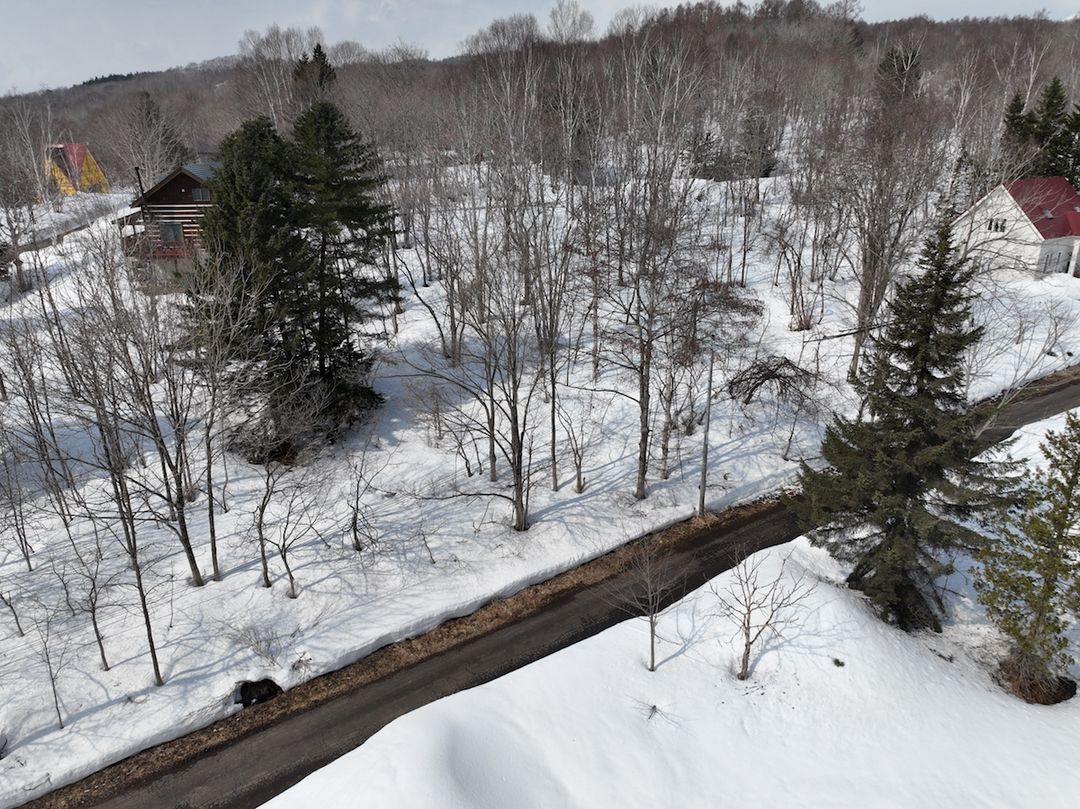 580sqm Land Plot for Sale in Rankoshi, Hokkaido - Build Your Ski Chalet - Thumbnail 4