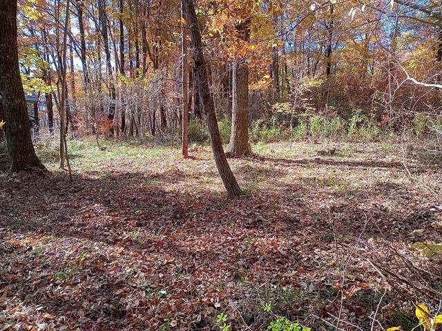 Land for Sale in Hokuto City, Yamanashi - 225 sqm Residential Plot - Thumbnail 4