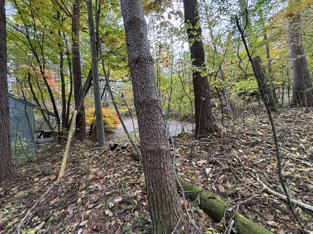 Vacant Villa Land in Fuji Subaru Highlands, Yamanashi - Thumbnail 4