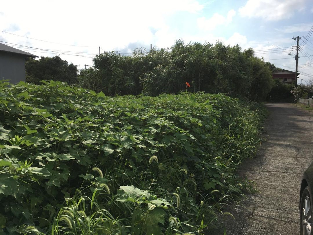 Vacant Land for Sale in Isumi City, Chiba - 119 sqm Plot - Thumbnail 2