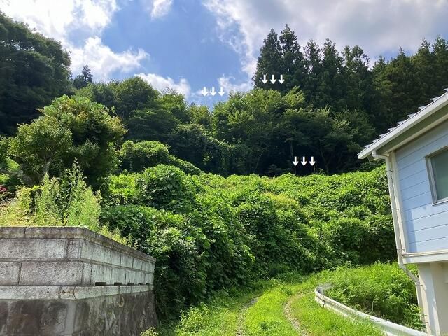 Forest Land for Sale in Iizaka Town, Fukushima - 2,828 sqm - Image 1