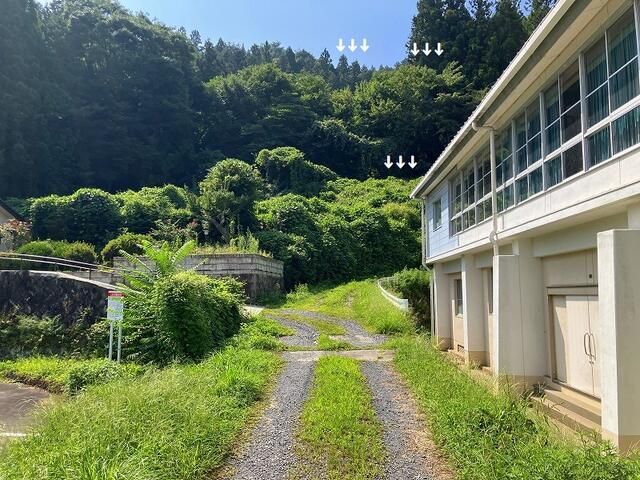 Forest Land for Sale in Iizaka Town, Fukushima - 2,828 sqm - Thumbnail 2