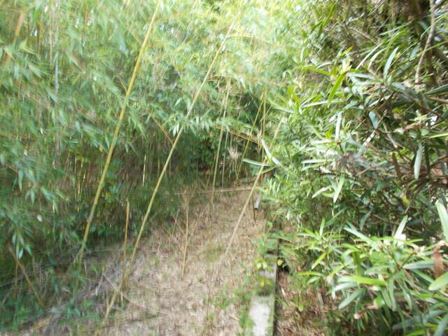 Residential Land for Sale in Minamisatsuma, Kagoshima - 488.89 sqm - Thumbnail 3