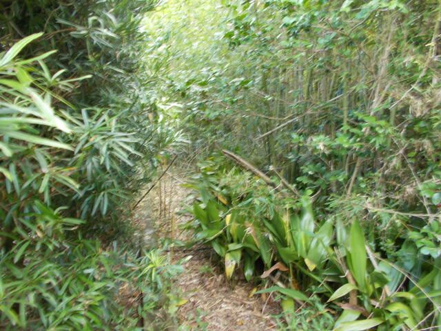 Residential Land for Sale in Minamisatsuma, Kagoshima - 488.89 sqm - Thumbnail 2