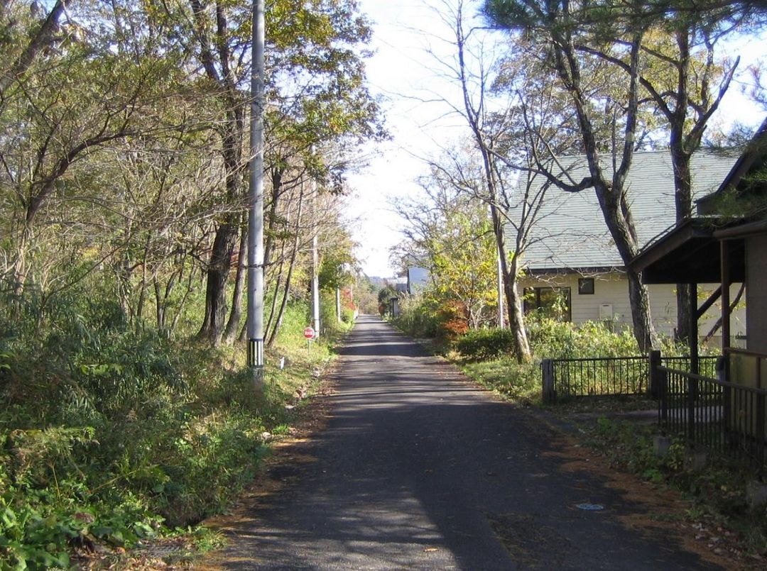 Miyagi Land for Sale with Hot Springs in Zao-Aone Green Spa - Thumbnail 2