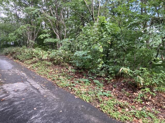 Villa Land for Sale in Shinanomachi with Lake Nojiri Views - Thumbnail 4