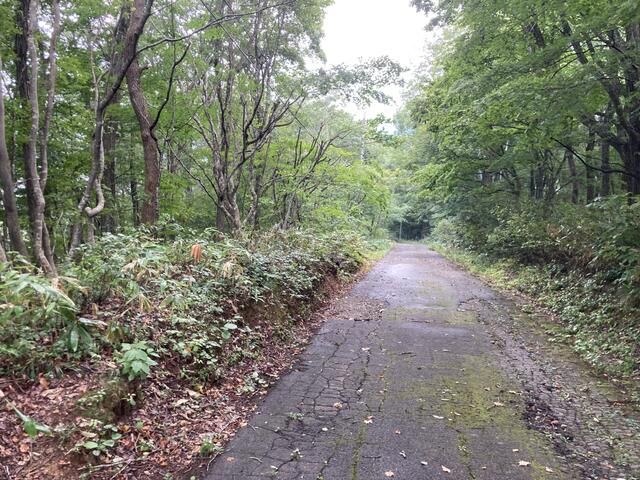 Villa Land for Sale in Shinanomachi with Lake Nojiri Views - Thumbnail 2