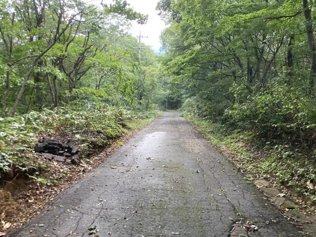 Villa Land for Sale in Shinanomachi with Lake Nojiri Views - Thumbnail 3