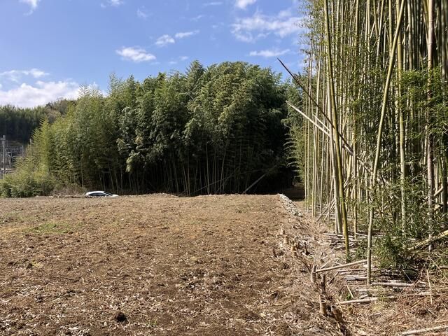 Agricultural Land for Sale in Odawara, Kanagawa - 794 sqm - Thumbnail 3
