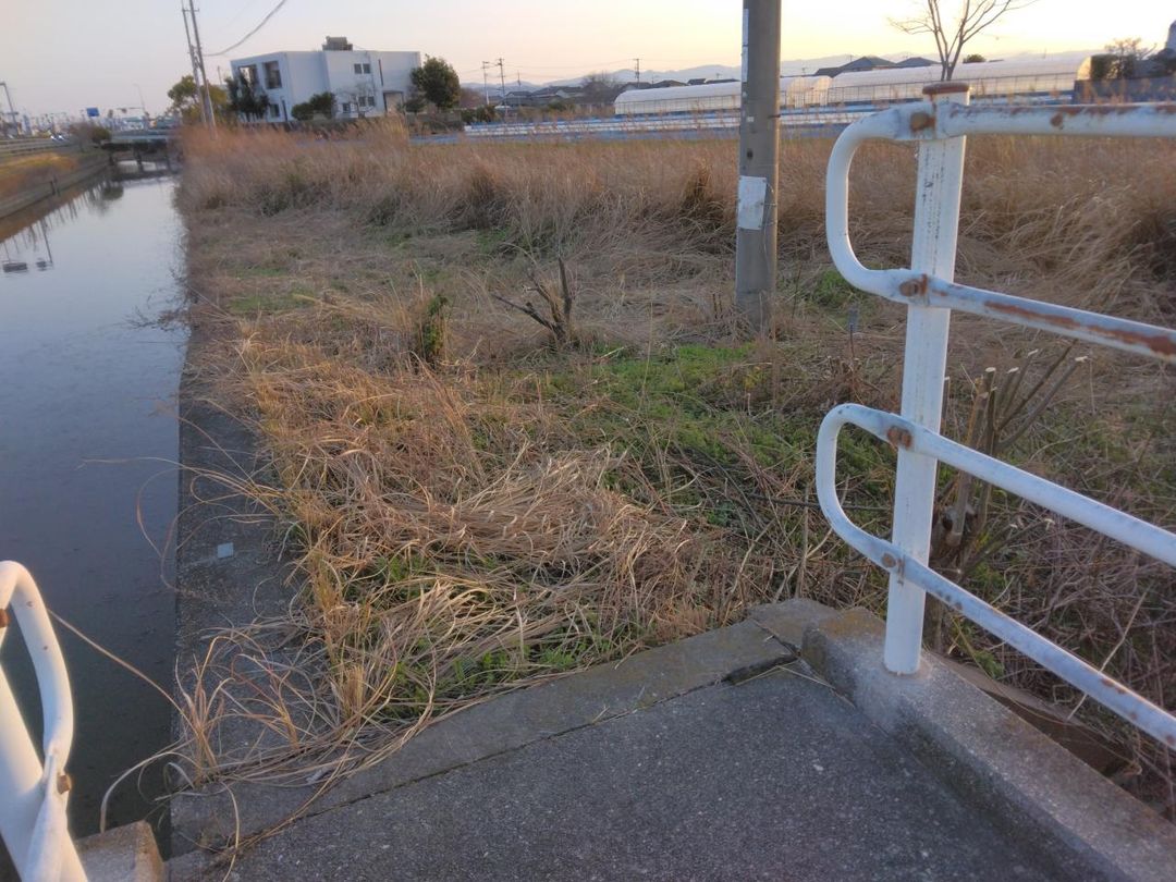 Agricultural Land for Sale in Matsushige, Tokushima - 19 sqm Plot - Thumbnail 2