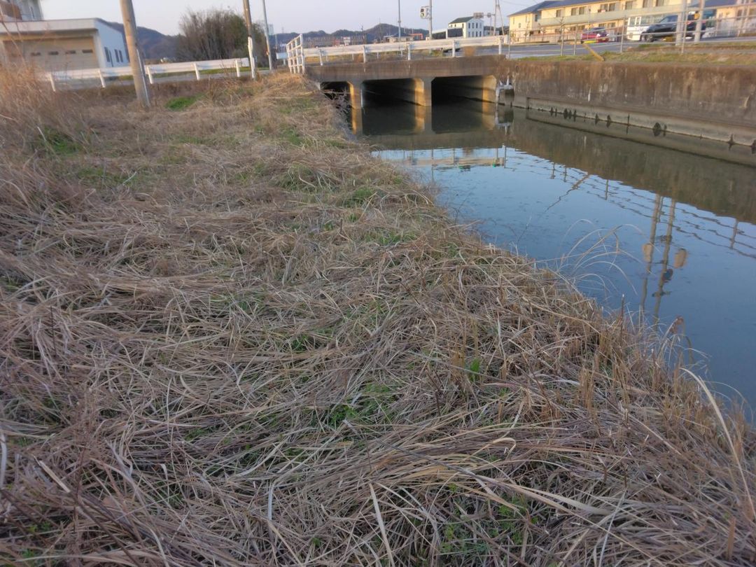 Agricultural Land for Sale in Matsushige, Tokushima - 19 sqm Plot - Thumbnail 4