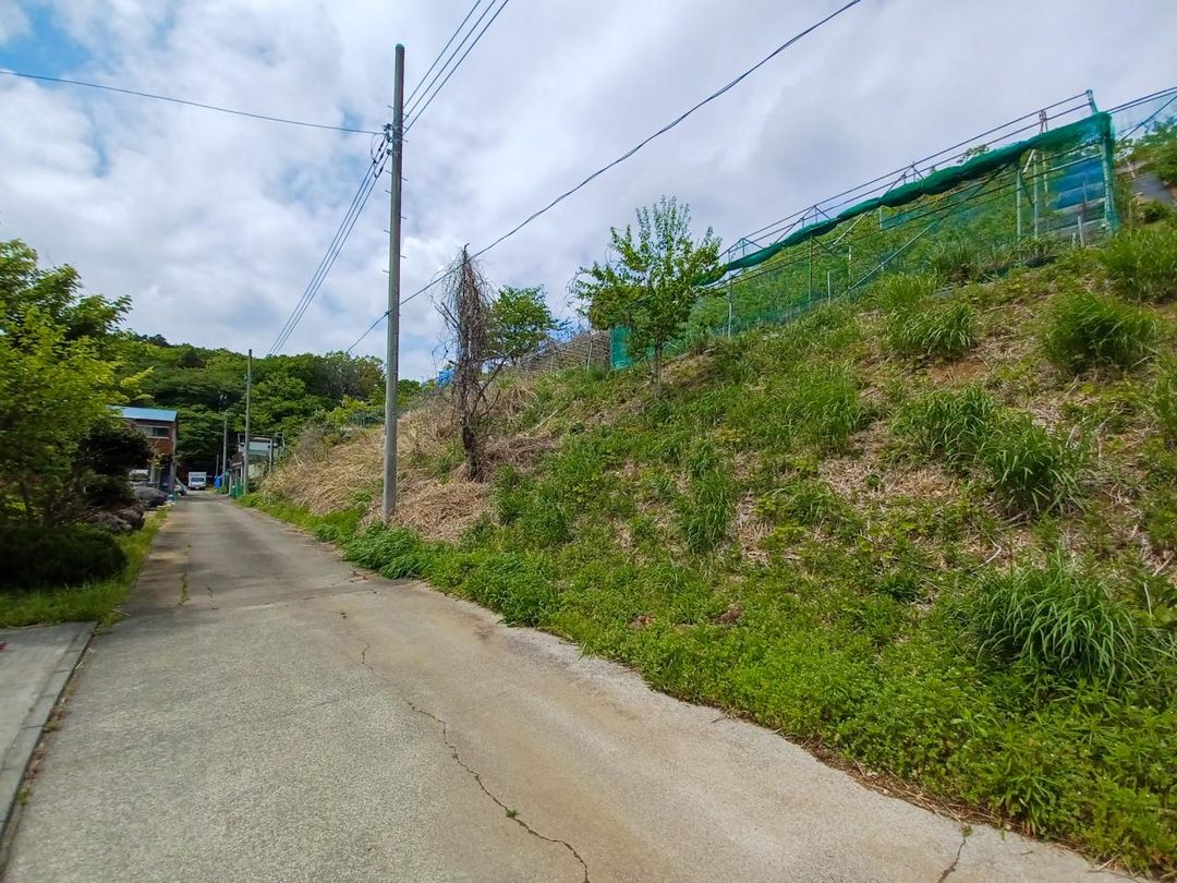 Land for Sale in Hachioji Tokyo - Blueberry Farm Storage Yard - Thumbnail 4