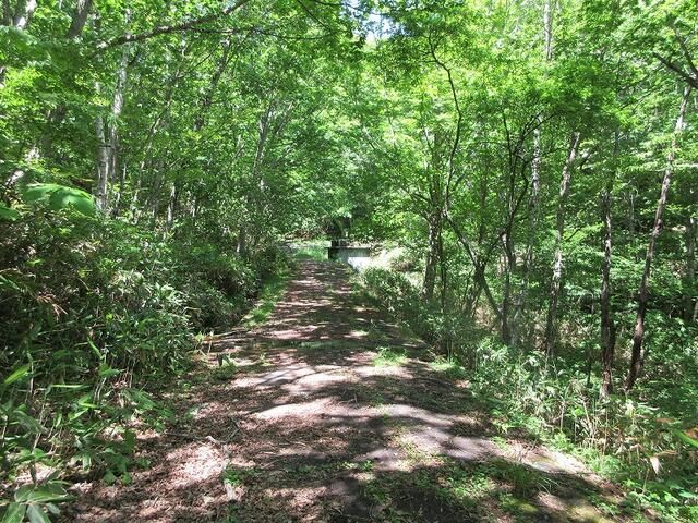 1,029 sqm Forest Land for Vacation Home in Takayama, Gifu - Thumbnail 3