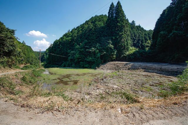 Agricultural Land for Sale in Nara City, Nara Prefecture - Thumbnail 2