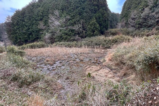 Agricultural Land for Sale in Nara City, Nara Prefecture - Thumbnail 3