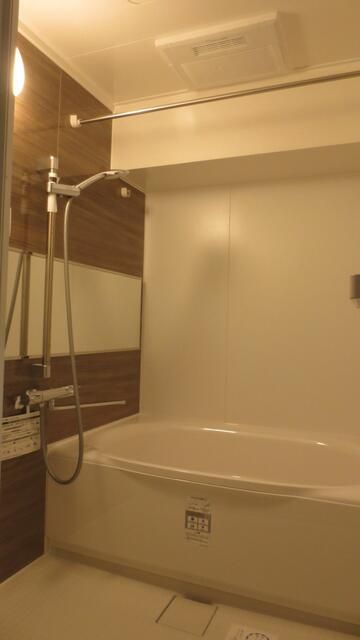 Renovated 1LDK Apartment for Sale in Nihonbashi, Tokyo - Thumbnail 3