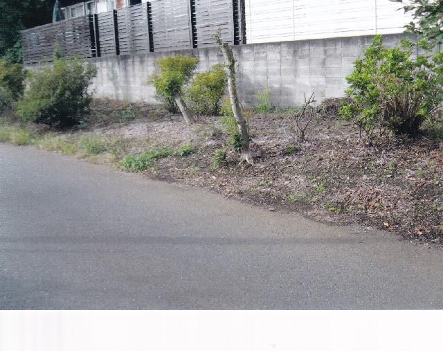 Residential Land for Sale in Kokubunji, Tokyo - 133.91 sqm - Thumbnail 3