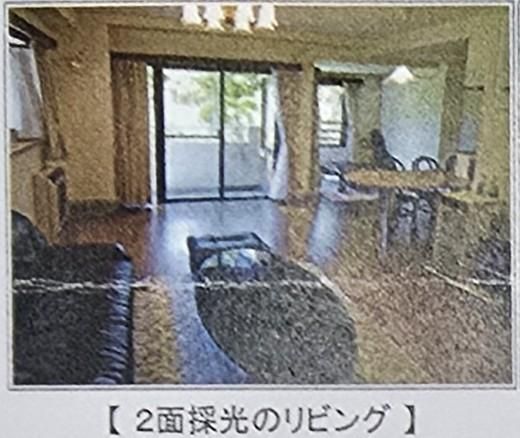 3LDK Resort Condo in Yamanakako with Mt. Fuji Views - Thumbnail 2