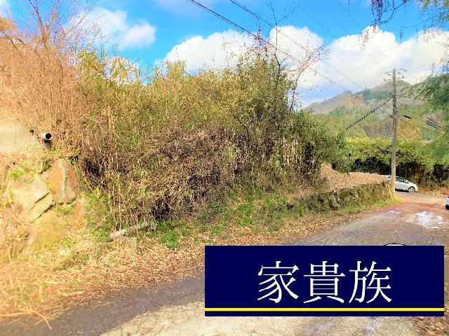 Forest Land for Sale in Nara - Build Your Villa - Thumbnail 2