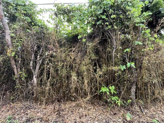 Land for Sale in Hokota, Ibaraki - 329.96 sqm Storage Yard Plot - Thumbnail 2