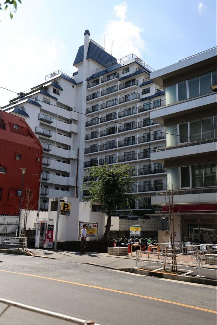 Renovated 1LDK Designer Apartment for Sale in Shibuya, Tokyo - Thumbnail 4