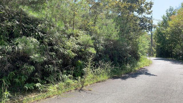 Villa Land for Sale in Kurotani, Kato City, Hyogo Prefecture - Thumbnail 2