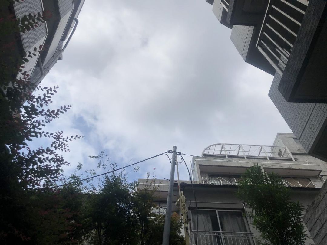 1LDK Apartment for Sale in Hiroo, Shibuya, Tokyo - Thumbnail 3