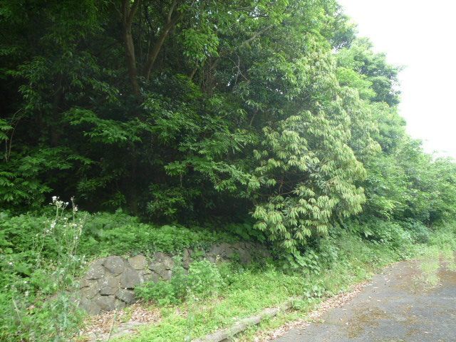222 sqm Forest Land for Sale in Matsuura, Nagasaki - Vacation Property - Thumbnail 2
