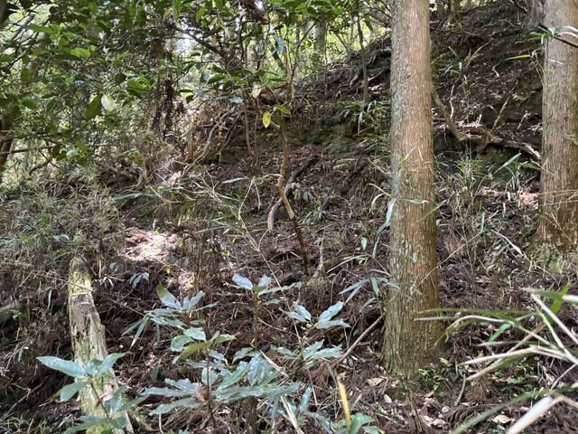 1,785 sqm Land for Sale in Isumi City, Chiba - Secluded Rural Parcel - Thumbnail 2