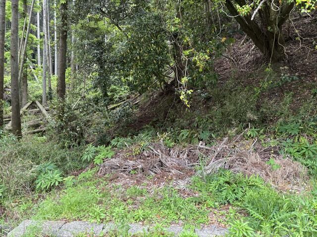 1,785 sqm Land for Sale in Isumi City, Chiba - Secluded Rural Parcel - Thumbnail 3