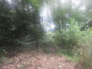 Land for Sale in Takayama Village, Gunma - Ideal for Villa - Thumbnail 2