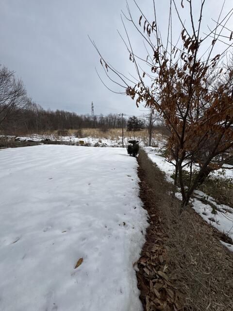 Hakodate Family Garden Land for Sale with Shed | 330 sqm Plot - Thumbnail 3