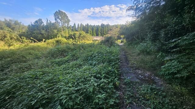 885.7 Tsubo Development Land for Sale in Hioki, Kagoshima - Thumbnail 3