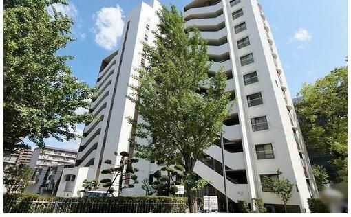 Renovated 3LDK Apartment near Minami-Ibaraki Station, Osaka - Image 1