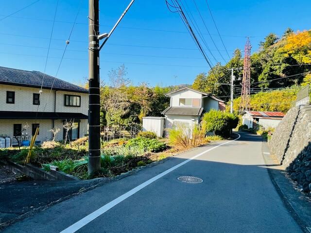 163 sqm Farmland for Sale in Hinode Town, Tokyo - No Build Conditions - Thumbnail 3