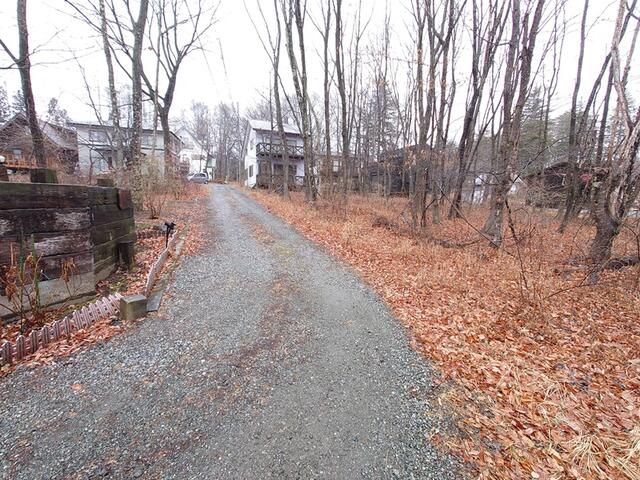 Land for Sale in Hokuto, Yamanashi - 145 sqm Wooded Plot - Thumbnail 4