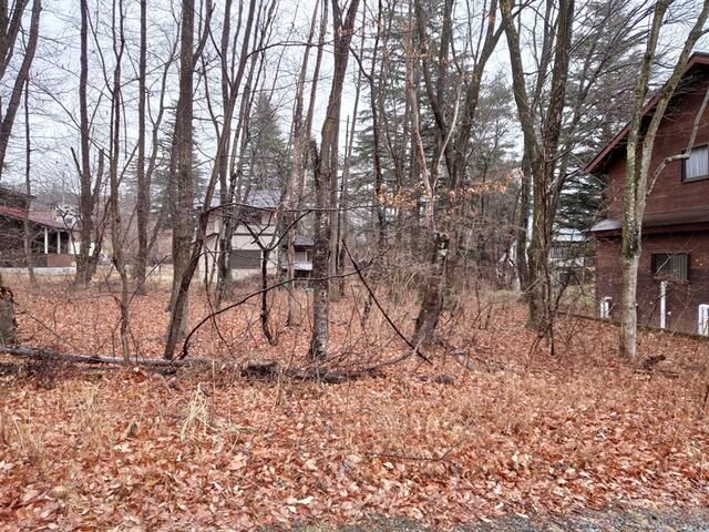 Land for Sale in Hokuto, Yamanashi - 145 sqm Wooded Plot - Thumbnail 2