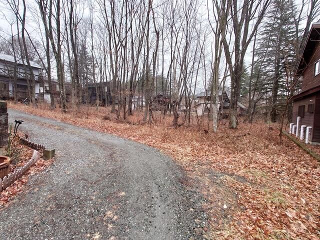 Land for Sale in Hokuto, Yamanashi - 145 sqm Wooded Plot - Thumbnail 3